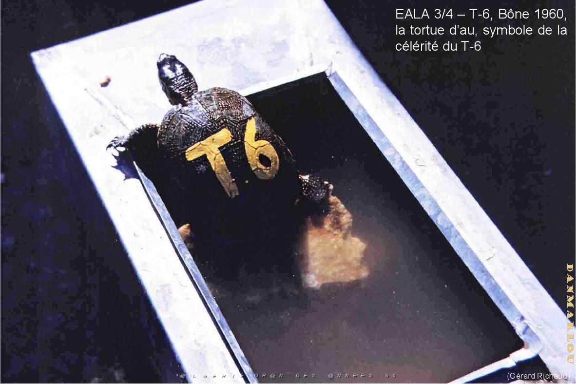 197- ARMEE DE L'AIR EN ALGERIE 1945-1962-45 (73).jpg